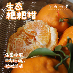 丹棱生态耙耙柑（基地直发-京东包邮）｜5斤/箱，来自四川眉山，生产者：刘德平【合作生产，公平贸易】