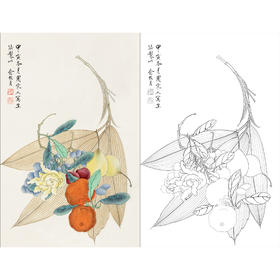 俞致贞花鸟工笔画白描底稿《时鲜图》临摹勾线高清打印稿ZZ63