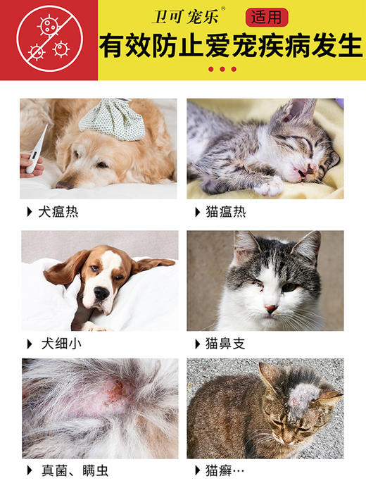 卫可宠乐 过硫酸氢钾复合物粉 商品图3