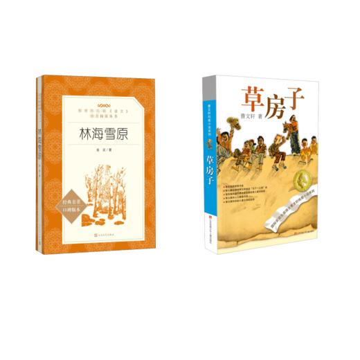 林海雪原+草房子 商品图0