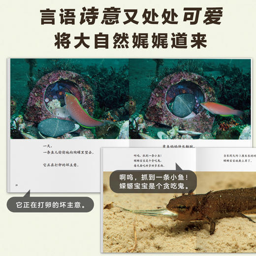 《生命的故事》礼盒装共44册   稀有、珍贵的大画面高清写真图片 让孩子对生命的诞生、成长过程一目了然 随书附赠音频伴读 商品图4