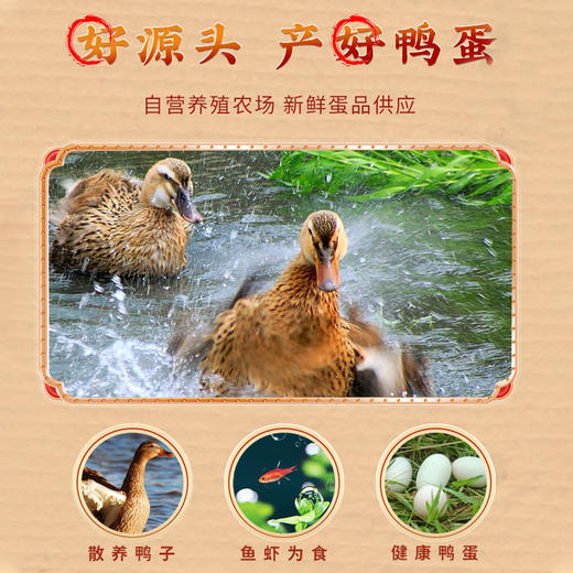 【赛蟹皇】咸鸭蛋礼盒1.3kg/提(艺术精装）（65g*20枚） 商品图4