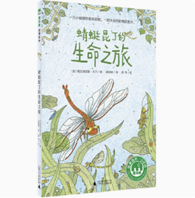【独秀书香卡】魔法象·故事森林  蜻蜓昆丁的生命之旅 8~14岁及以上 儿童文学
