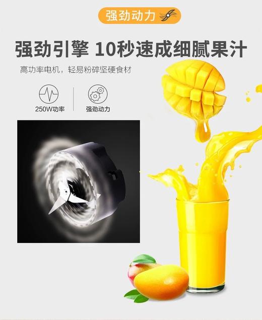 【6F】WMF 便携式搅拌杯 商品图4