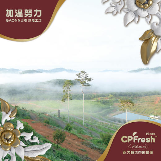 泰国猫山王鲜榴莲礼盒/个 商品图3