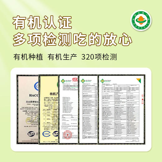 云南有机小黄姜 | 产自云南文山 荣获中国有机证明 颜色黄亮 不黑心不烂牙 姜味浓郁 口感辛辣 营养丰富 百搭调料 商品图8