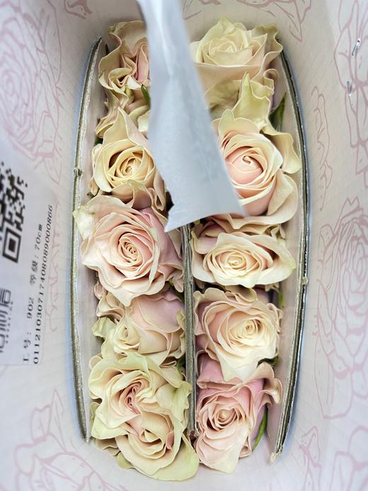 百利信单头玫瑰 | 草莓慕斯 商品图0