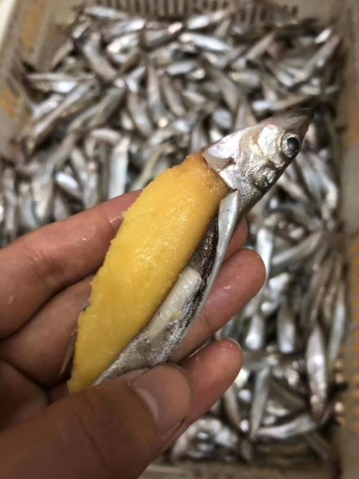 & 爆籽多春鱼（不用杀220g/盒约9只）高蛋白，香煎 烤  炸！超级香‼活冻 商品图4