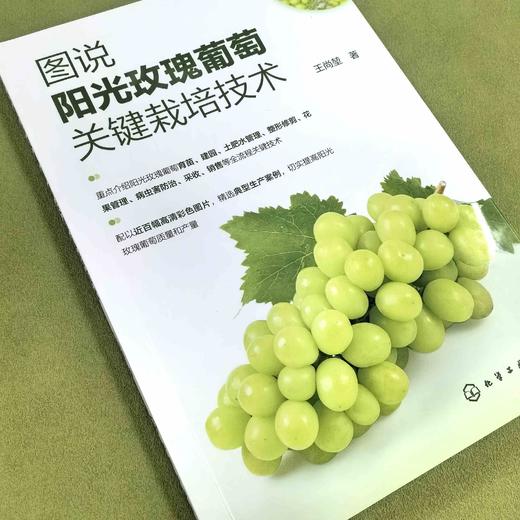 图说阳光玫瑰葡萄关键栽培技术 商品图1