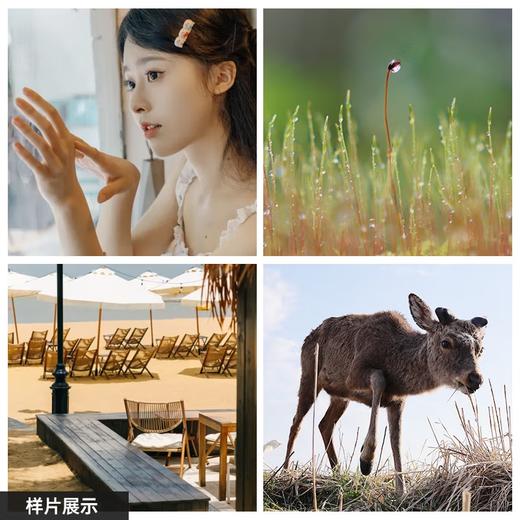 适马18-50mm F2.8 DC DN｜Contemporary 恒定大光圈标准变焦人像镜头APS-C画幅镜头 商品图5