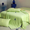 【多样屋专柜】小蓝君沁凉被-果绿/200*230cm 商品缩略图2