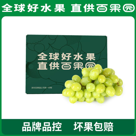 PAGODA百果园 B级-进口无核青提（秋天脆）2斤家庭装 商品图5