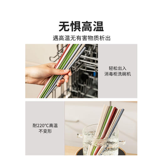 摩登主妇PPS合金筷子家用高档抗菌防霉2025新款轻奢家庭专人专用 商品图3