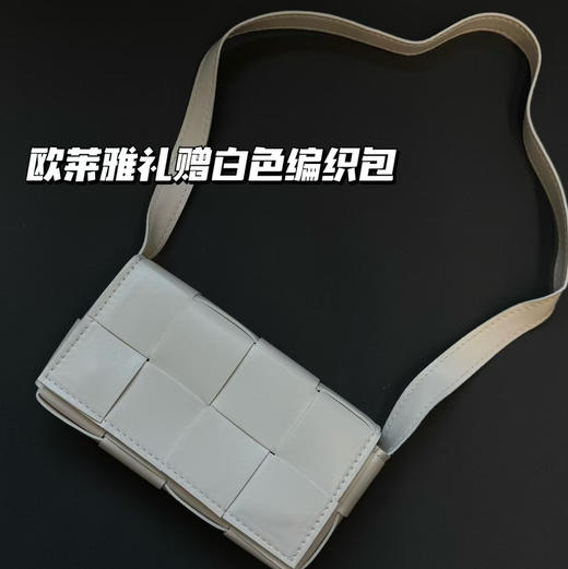 特价  欧莱雅包包 柜台礼赠！ 商品图0