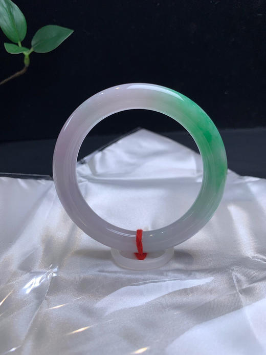 612492，55.8春彩圆条，一大截阳绿色，带淡紫，秀气有特色，局部略有些棉感 商品图0