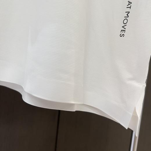 点此购买 迪桑特夏季男士竖字母短袖超冰丝速干Polo衫T恤 ggd 312513 商品图9