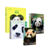 熊猫花花+萌兰+果赖+福宝 商品缩略图0