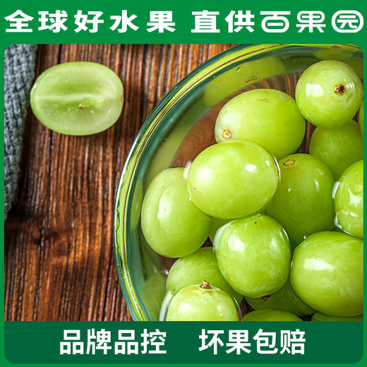 PAGODA百果园 B级-进口无核青提（秋天脆）2斤家庭装 商品图3