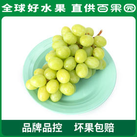 PAGODA百果园 B级-进口无核青提（秋天脆）2斤家庭装