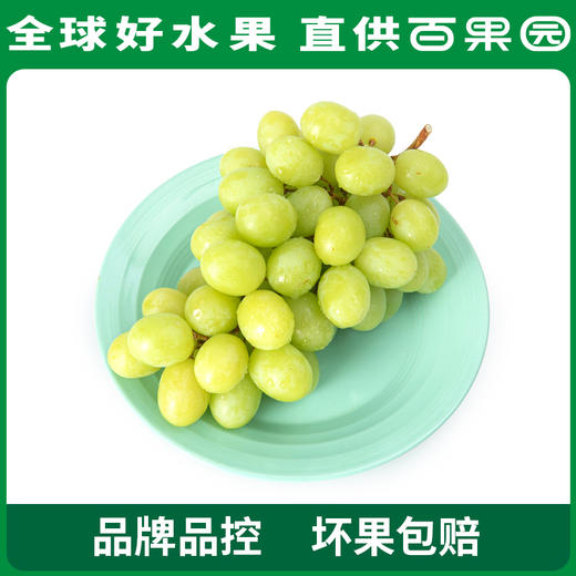 PAGODA百果园 B级-进口无核青提（秋天脆）2斤家庭装 商品图0