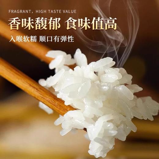 未尝不可  五常稻花香（紫）  新米 东北大米10斤 商品图2