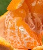 探蜜熊大雅柑|推荐一款柑橘，探蜜熊大雅蜜柑，限量版，柔软脆绿的皮轻轻一扯就全开了，里面藏着一片片的柔情蜜意，清新又温暖，难忘～ 商品缩略图7