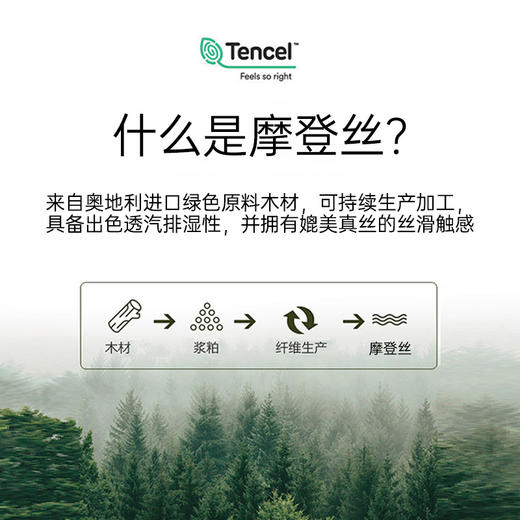 雅芳婷60支摩登丝四五件套床笠款田园风被套吸湿排汗丝滑套件床品 商品图1