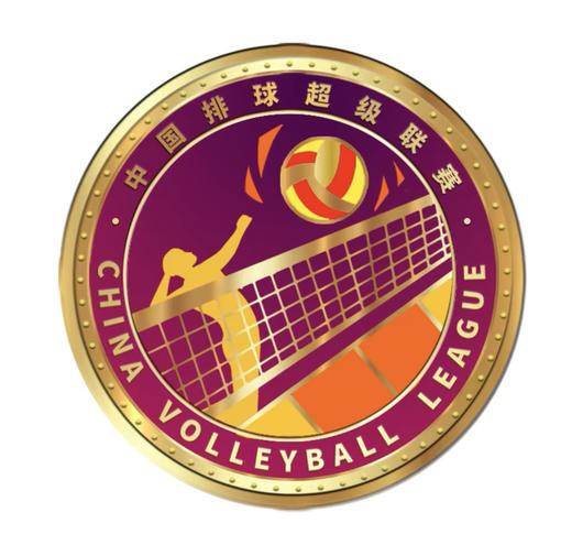 中国排球超级联赛-纪念章 商品图3