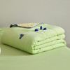 【多样屋专柜】小蓝君沁凉被-果绿/200*230cm 商品缩略图3