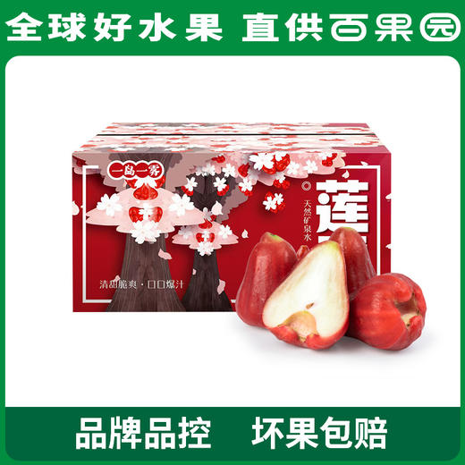 PAGODA百果园 A级-黑金刚莲雾（大）3斤装 商品图5