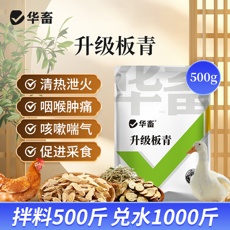 华畜升级板青 清热泻火 咽喉肿痛 咳嗽喘气 促进采食