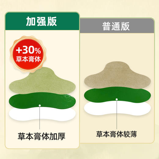 百年扁氏颈椎贴加强版 商品图2