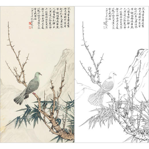 俞致贞花鸟工笔画白描底稿《柯竹翠羽》临摹勾线高清打印稿ZZ61 商品图0