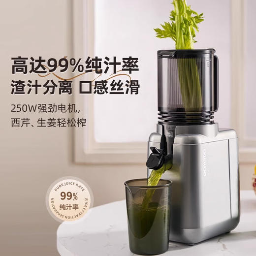 大宇（DAEWOO）榨汁机榨汁分离原汁机家用全自动渣汁慢磨130mm大口径易拆易清洗果汁机高纯汁率果蔬榨汁机 130mm大口径99%纯汁率-银色 商品图3