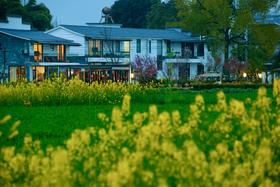 【崇州-370号民宿】2房/3房/4房/6房茶室民宿，有油菜花、草坪、稻田、麦田景观xxl