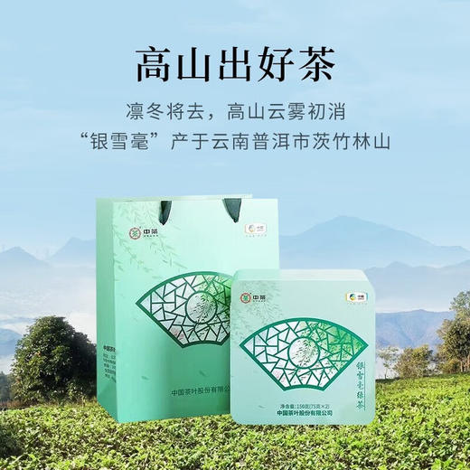 2025年中茶（早春）银雪毫绿茶150g 商品图3