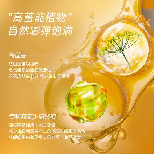 【不松不垮  紧嘭回弹】阿芙木乃伊十一籽抚纹精华面霜30g    下单赠送  片袋小样1g*5*4份(相当于买30g正装送20g小样) 商品图3