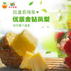 【广垦优品】广垦红星农场 | 红土金菠金钻凤梨 | 脆爽多汁 | 多规格选择 商品缩略图2