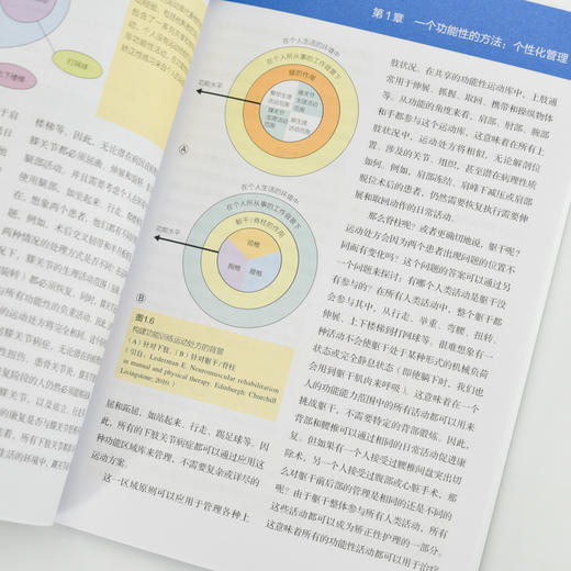 功能训练* 肌骨损伤与疼痛的全周期管理 运动康复书籍 功能性训练 运动康复训练动作全书 运动康复学 商品图2