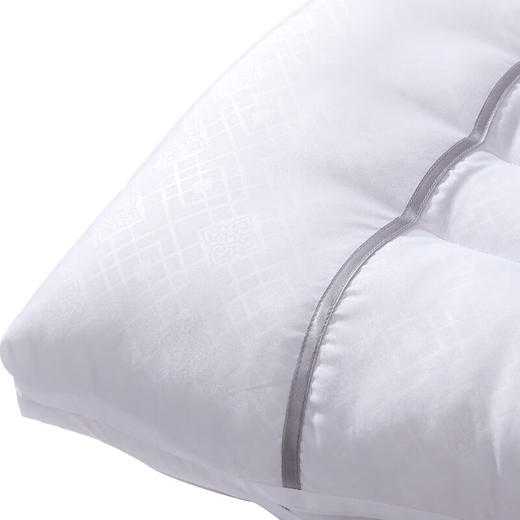 富安娜 决明子香蒲草本对枕 商品图4