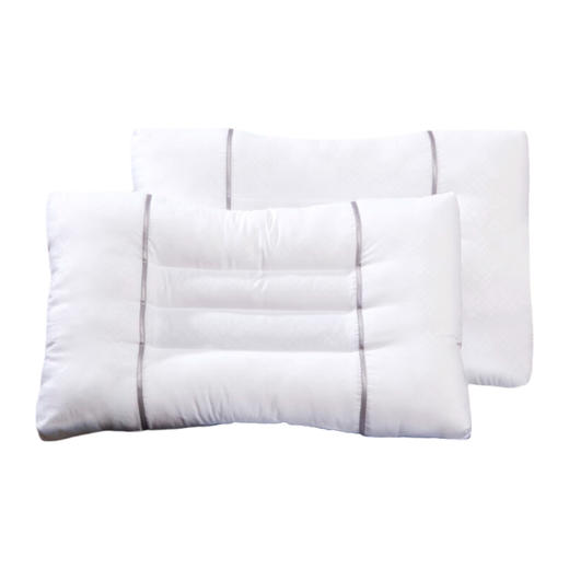 富安娜 决明子香蒲草本对枕 商品图0