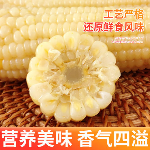 【超值10只装】内蒙特产甜糯玉米 草原黄金小玉米 内蒙赤峰娃娃玉米130g*10穗亮袋真空锁鲜装 商品图3