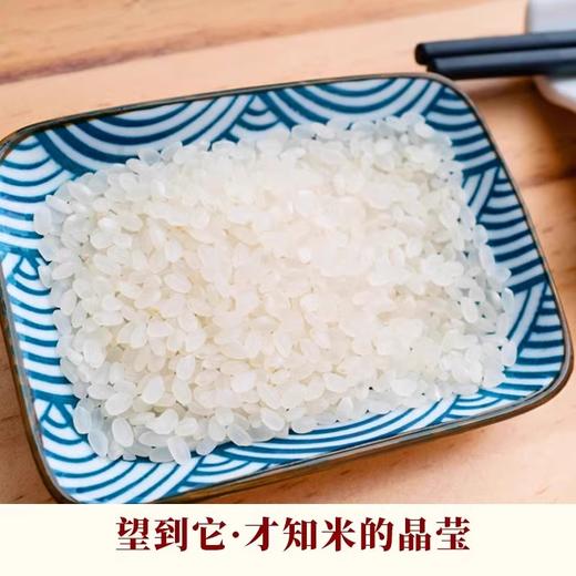 未尝不可  珍珠米   东北大米10斤新米 商品图2