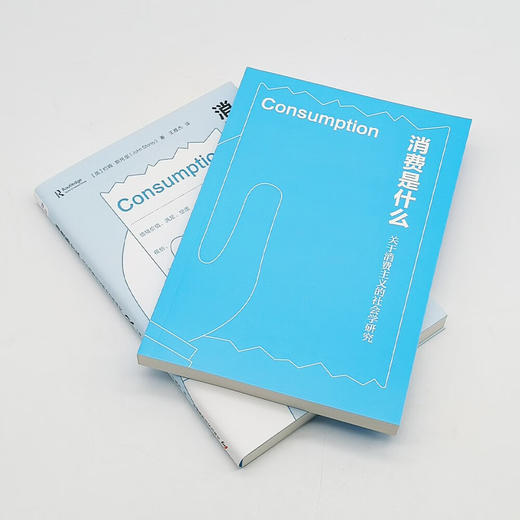 消费是什么 : 关于消费主义的社会学研究（一本书告诉你为什么买买买之后也有巨大空虚感） 商品图5