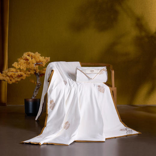 万事利纯蚕丝子母被-龙凤呈祥-四季被 商品图3