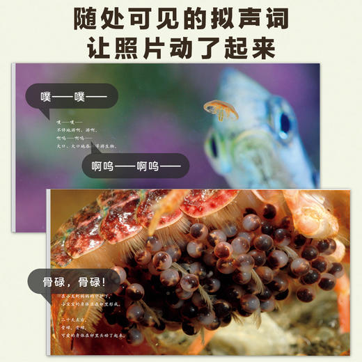 《生命的故事》礼盒装共44册   稀有、珍贵的大画面高清写真图片 让孩子对生命的诞生、成长过程一目了然 随书附赠音频伴读 商品图5