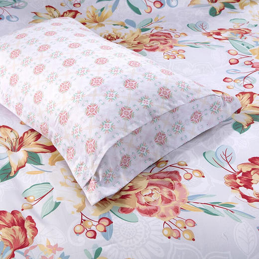 富安娜磨毛四件套-芳华初韵 商品图1