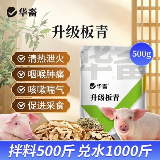 华畜升级板青 清热泻火 咽喉肿痛 咳嗽喘气 促进采食 商品图2