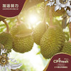 泰国猫山王鲜榴莲礼盒/个 商品缩略图1