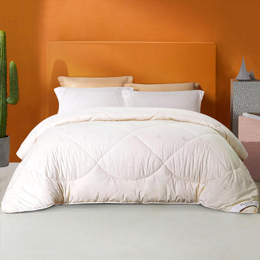 富安娜(FUANNA) 玺梦臻品澳洲羊毛被203*229cm 商品图0